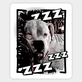 Sleeping White Boxer Magnet